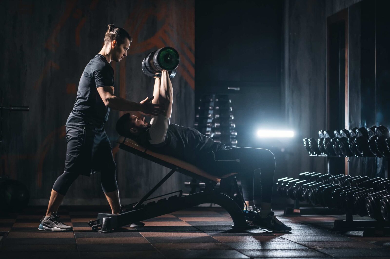 Why FitnessLife Physique Exists